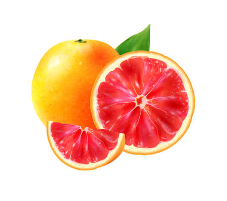 Realistic Grapefruit Fruit Compositionのイラスト素材