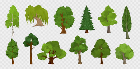 Tree Transparent Icons Collectionのイラスト素材