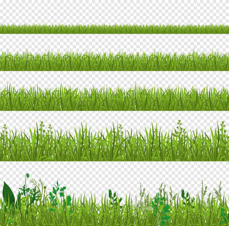 Grass Side Views Setのイラスト素材