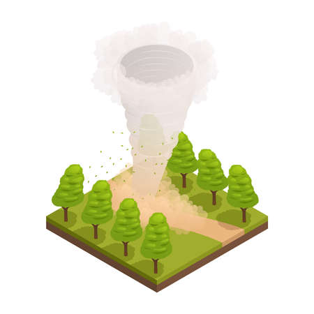 Tornado In Forest Compositionのイラスト素材