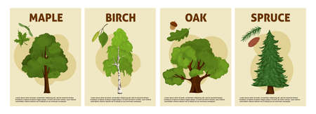 Trees Vertical Posters Setのイラスト素材