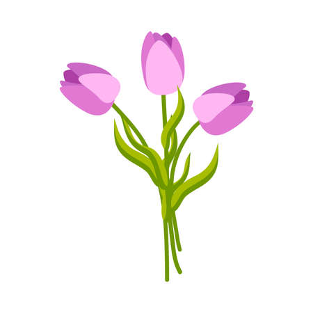 Bunch Of Tulips Compositionのイラスト素材