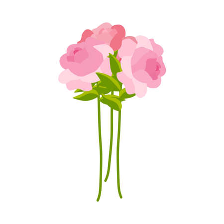 Pink Roses Bunch Compositionのイラスト素材