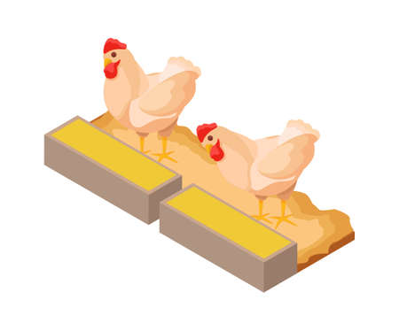 Chicken Farm Feeding Compositionのイラスト素材