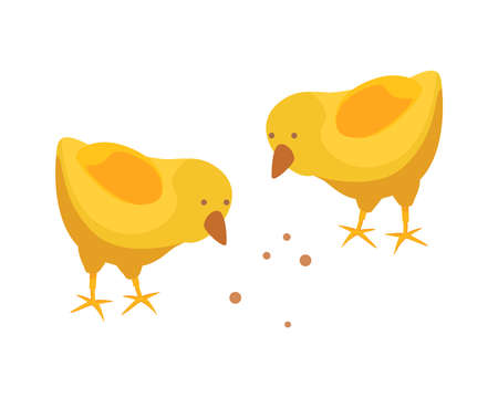 Farm Chicken Isometric Compositionのイラスト素材