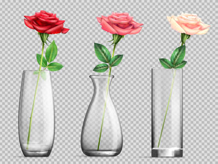 Glass Vase With Rose Transparent Setのイラスト素材