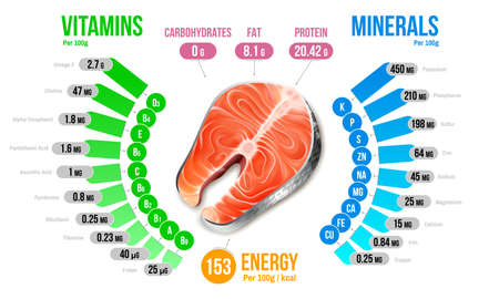 Salmon Nutrients Infographics Diagramのイラスト素材
