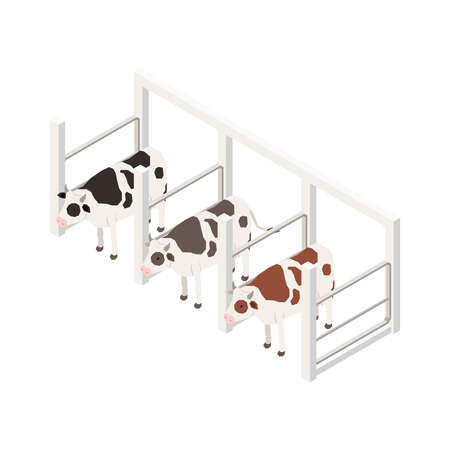 Milking Cows Isometric Compositionのイラスト素材