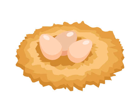 Chicken Eggs Nest Compositionのイラスト素材