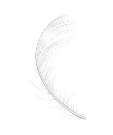 Realistic Feather Iconのイラスト素材