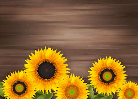 Sunflower Realistic Backgroundのイラスト素材
