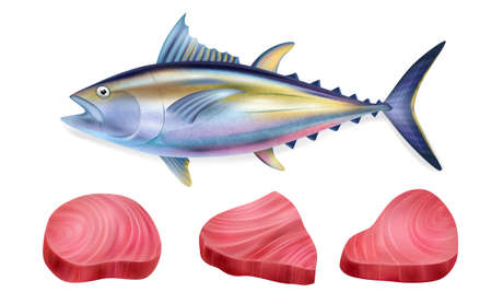Realistic Tuna Fish Steak Icon Setのイラスト素材