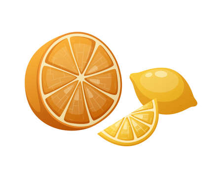 Citrus Fruits Illustrationのイラスト素材