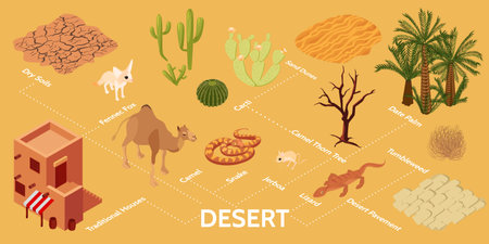 Desert Isometric Infographicsのイラスト素材