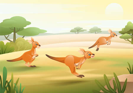 Kangaroos Cartoon Illustrationのイラスト素材