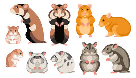 Hamster Cartoon Setのイラスト素材