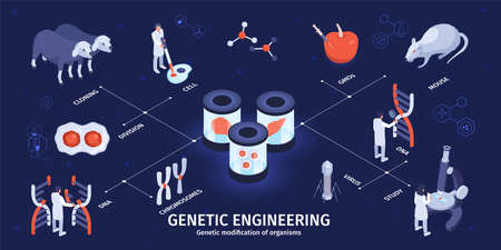 Isometric Genetic Engineering Infographicsのイラスト素材
