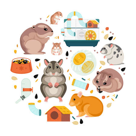 Hamster Flat Round Compositionのイラスト素材