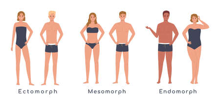 Body Types Flat Setのイラスト素材