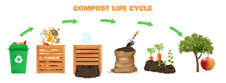 Compost Life Cycle Conceptのイラスト素材