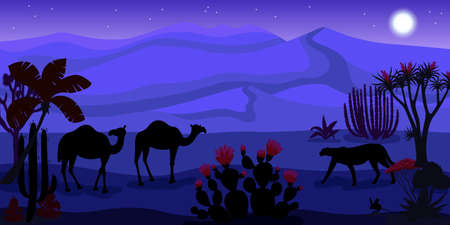 Moonlit Night In Desert Cartoon Illustrationのイラスト素材
