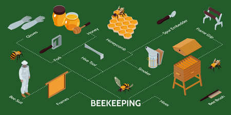Beekeeping Isometric Infographicsのイラスト素材