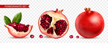 Pomegranate Realistic Transparent Setのイラスト素材