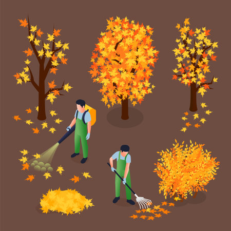 Cleaning Autumn Foliage Isometric Illustrationのイラスト素材