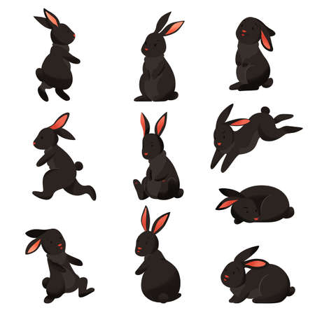 Black Rabbits Color Setのイラスト素材