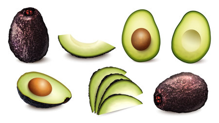 Realistic Avocado Setのイラスト素材