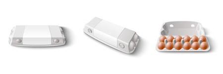 Realistic Eggs Packagesのイラスト素材