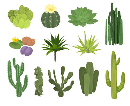 Cactuses Flat Icon Setのイラスト素材