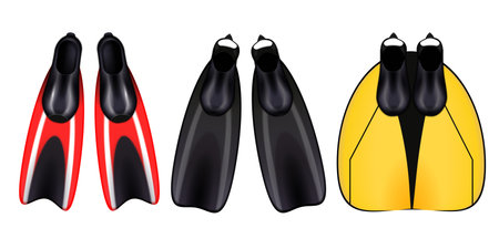 Diving Snorkeling Paddles Setのイラスト素材