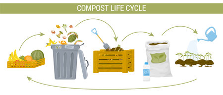 Compost Composting Colored Flat Infographicのイラスト素材