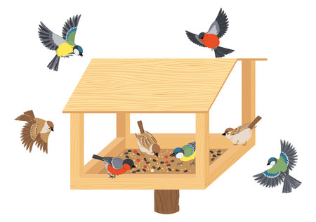 Bird Feeder Box Compositionのイラスト素材