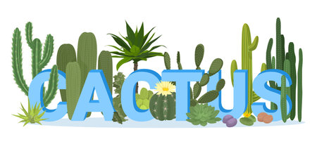 Cactuses Flat Compositionのイラスト素材