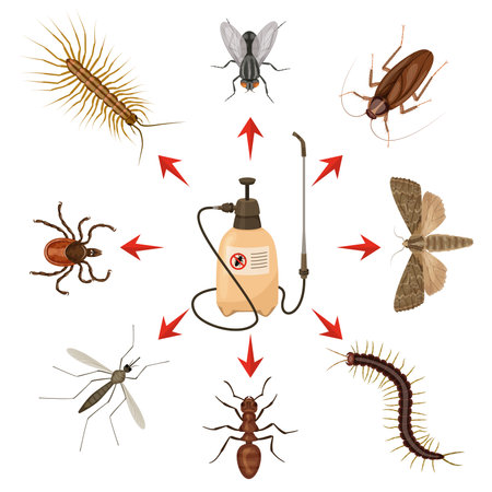 Harmful Insects Cartoon Infographicのイラスト素材