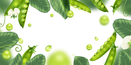 Realistic Peas Frameのイラスト素材