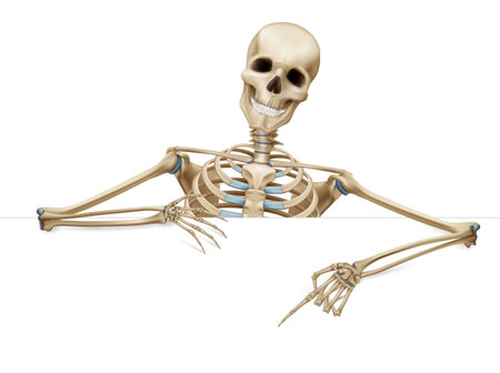 Human Skeleton Gesture Compositionの写真素材