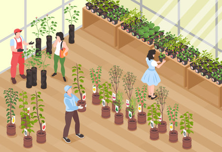 Isometric Nursery Garden Conceptのイラスト素材