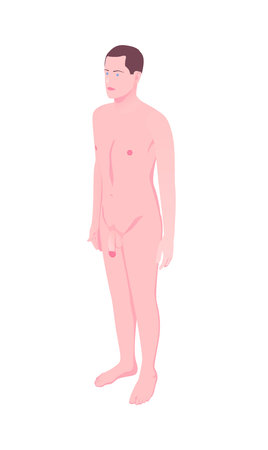 Isometric Male Bodyのイラスト素材