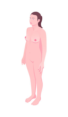 Isometric Female Bodyのイラスト素材