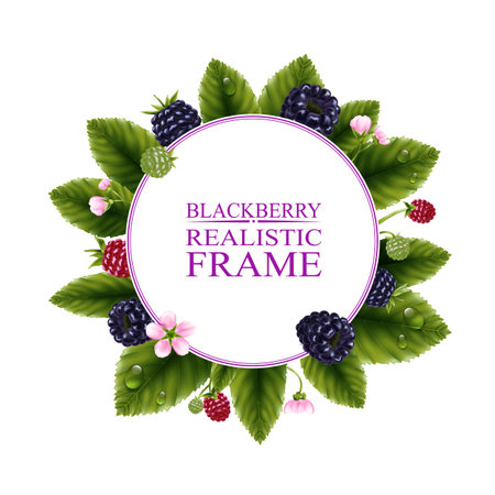 Realistic Blackberries Frameのイラスト素材