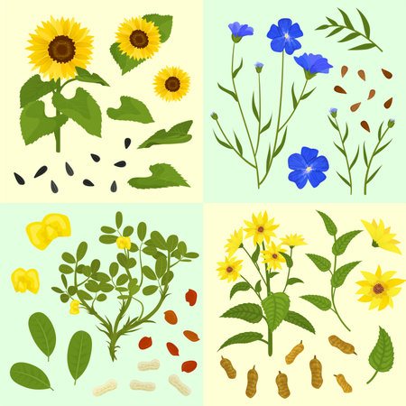Technical Flowers Seed Compositionsのイラスト素材