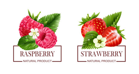 Berry Labels Realistic Setのイラスト素材