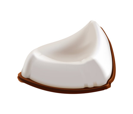 Coconut Slice Realistic Compositionのイラスト素材