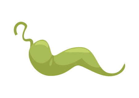 Green Pepper Pizza Compositionのイラスト素材