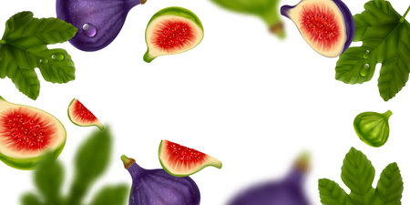 Fig Realistic Frameのイラスト素材