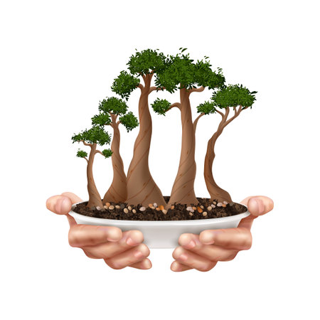 Bonsai Tree Compositionのイラスト素材