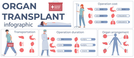Organ Transplant Flat Infographicsのイラスト素材
